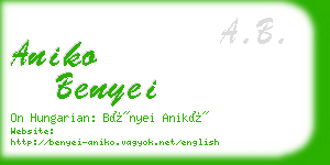 aniko benyei business card